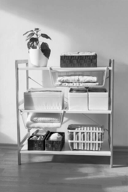 Organization and Storage: Everything in Its Place
