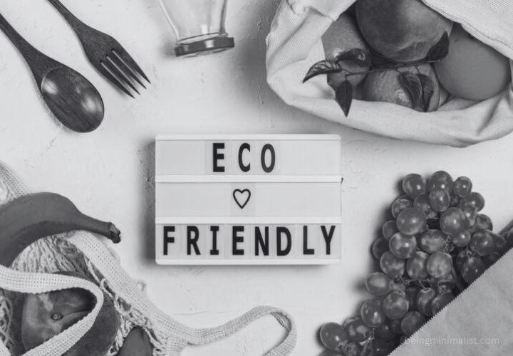 Aspect of Eco-Friendly Choices for a Minimalist