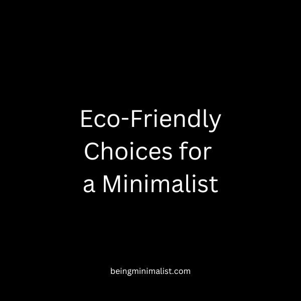 Eco-Friendly Choices for a Minimalist